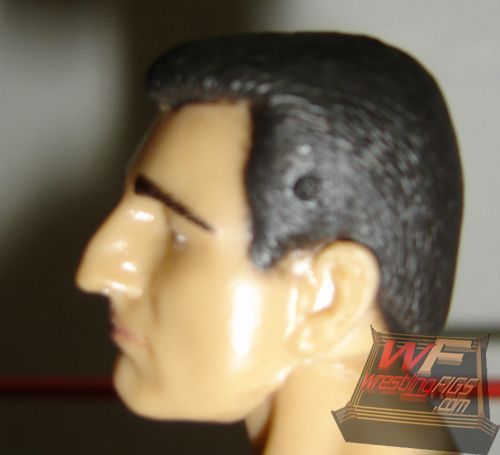 2005 WWE Jakks Pacific Ruthless Aggression Series 17 Orlando Jordan –  Wrestling Figure Database