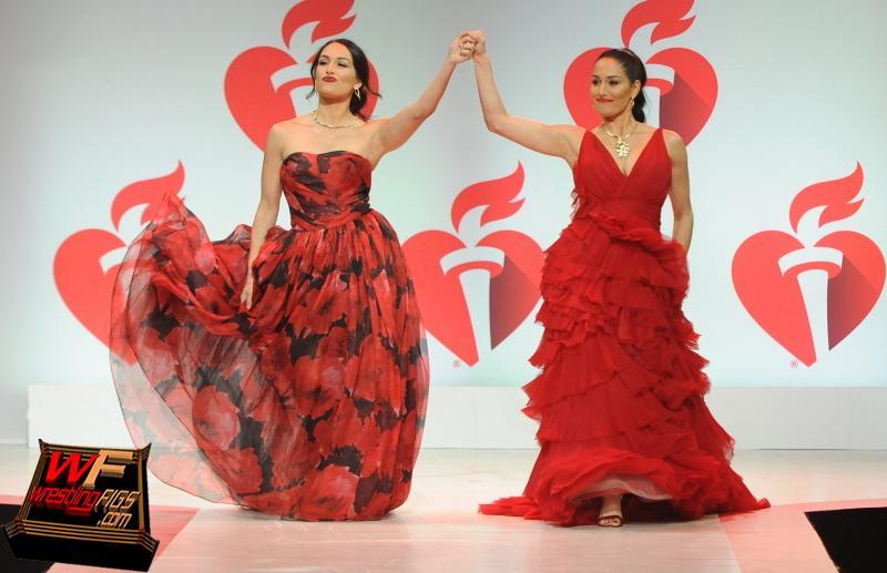 Brie and Nikki Bella model mini dresses for the 2019 Couture Council Award  Luncheon in New York City